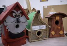 Фото из телеграм-канала главы Алтайского района