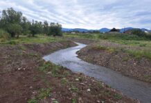 Фото из телеграм-канала Минприроды РХ