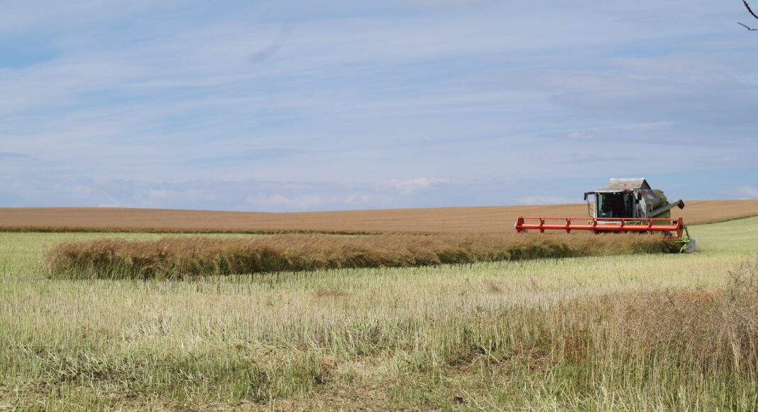 Фото из телеграм-канала Минсельхозпрода РХ