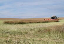 Фото из телеграм-канала Минсельхозпрода РХ