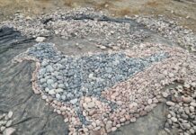 Фото из телеграм-канала Ирины Войновой