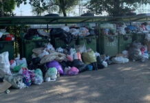 Фото из телеграм-канала Минприроды РХ