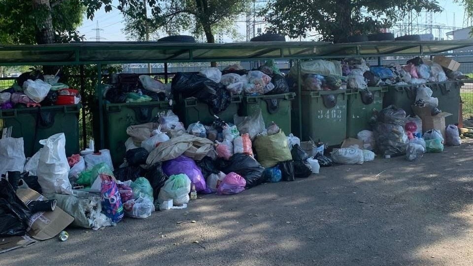 Фото из телеграм-канала Минприроды РХ