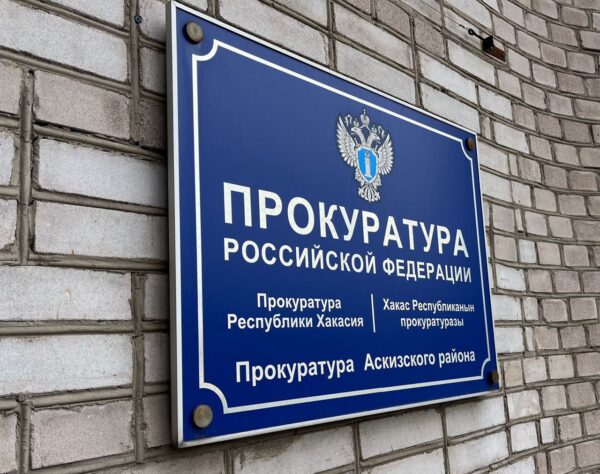 Житель Красноярского края заплатит 90 тысяч за незаконную рубку деревьев в Хакасии