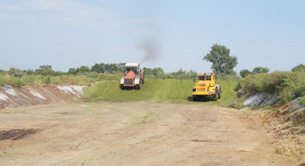 Фото из телеграм-канала Минсельхозпрода РХ