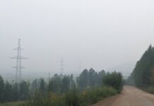 Фото предоставлено пресс-службой «Россети Сибирь»