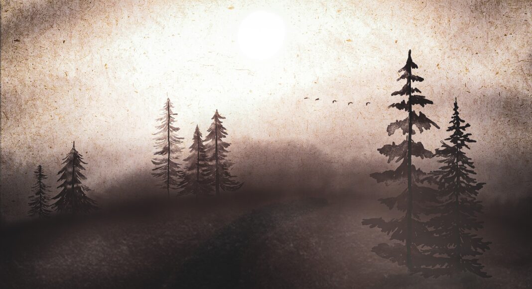 Темный лес
