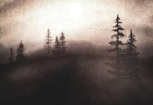 Темный лес