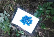 Изображение из телеграм-канала МВД по РХ