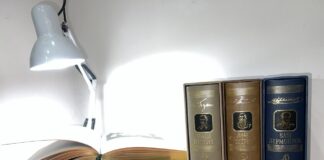 Книги. Фото: pulse19.ru