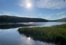 Озеро Баланкуль. Фото автора