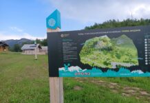 Фото: Мария Орлова