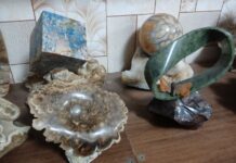 Фото: Мария Орлова