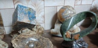 Фото: Мария Орлова