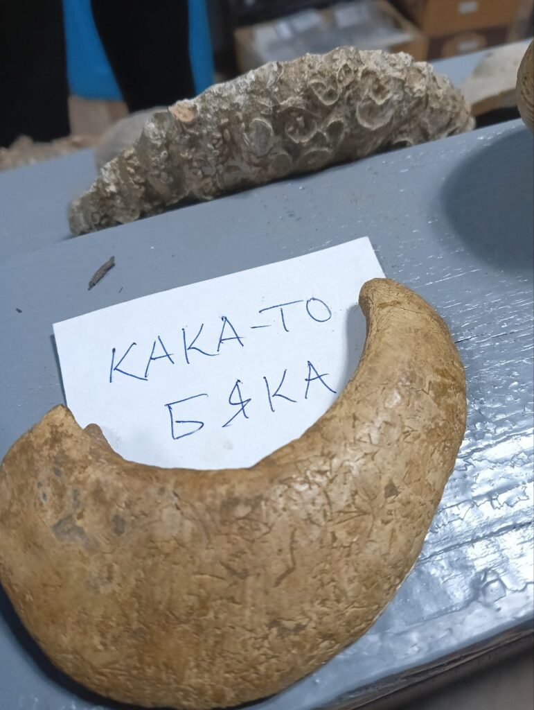 Фото: Мария Орлова