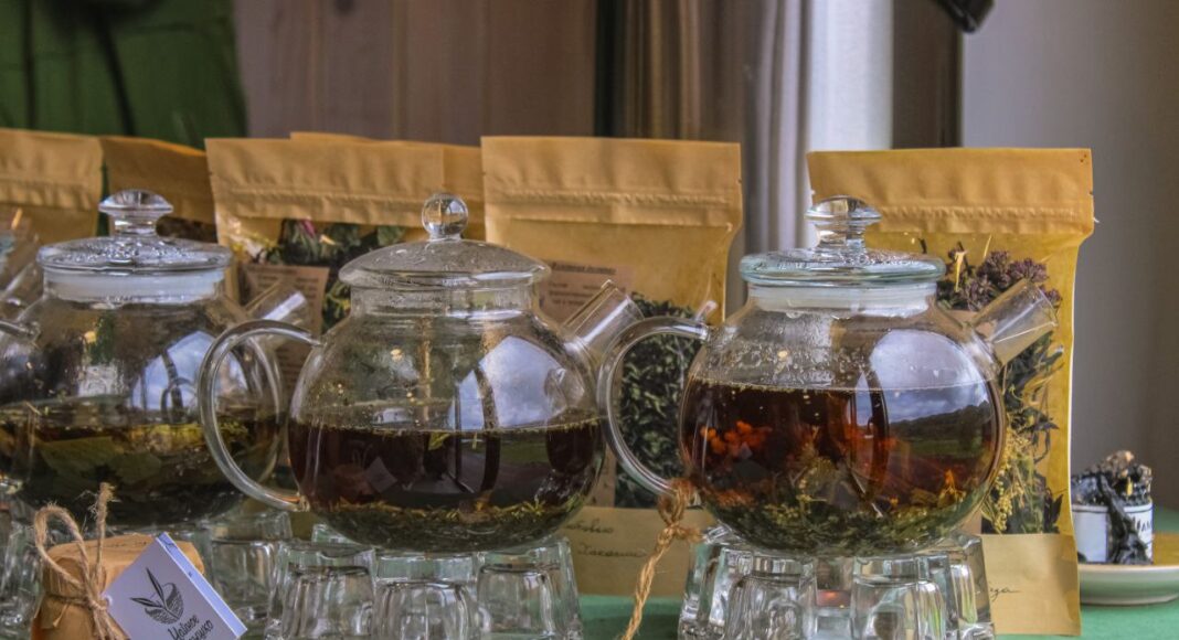 Фото Светланы Небыковой