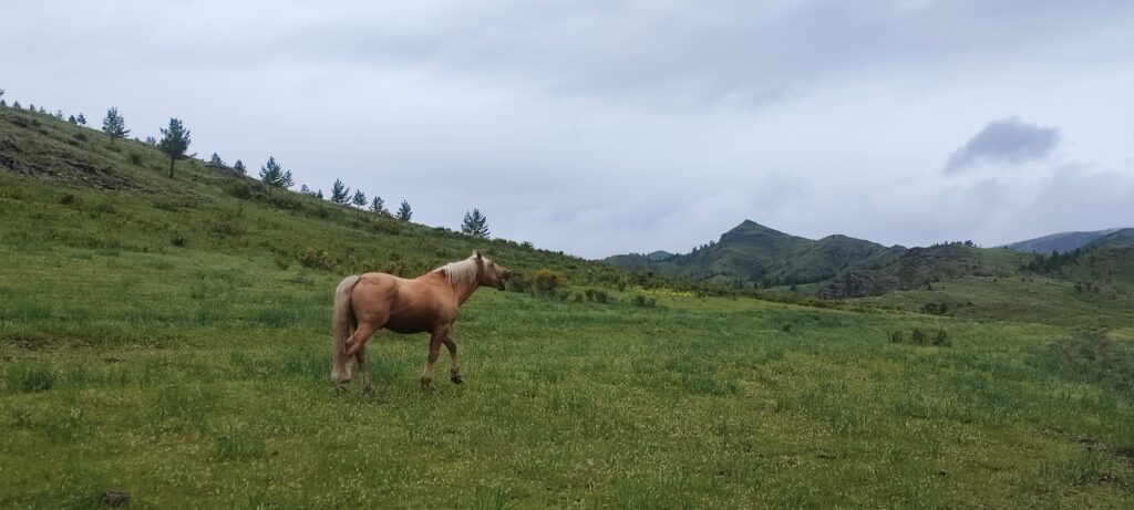 Фото предоставил Иван Кукарцев