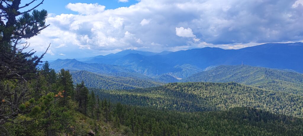 Фото предоставил Иван Кукарцев