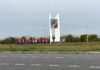 Кто решится дать бой корням в Черногорске и его окрестностях Черногорск. Фото pulse19.ru