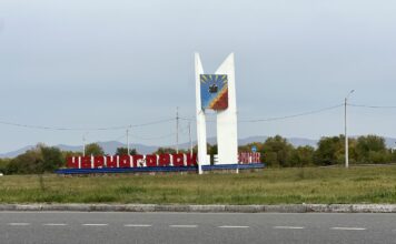 Кто решится дать бой корням в Черногорске и его окрестностях Черногорск. Фото pulse19.ru