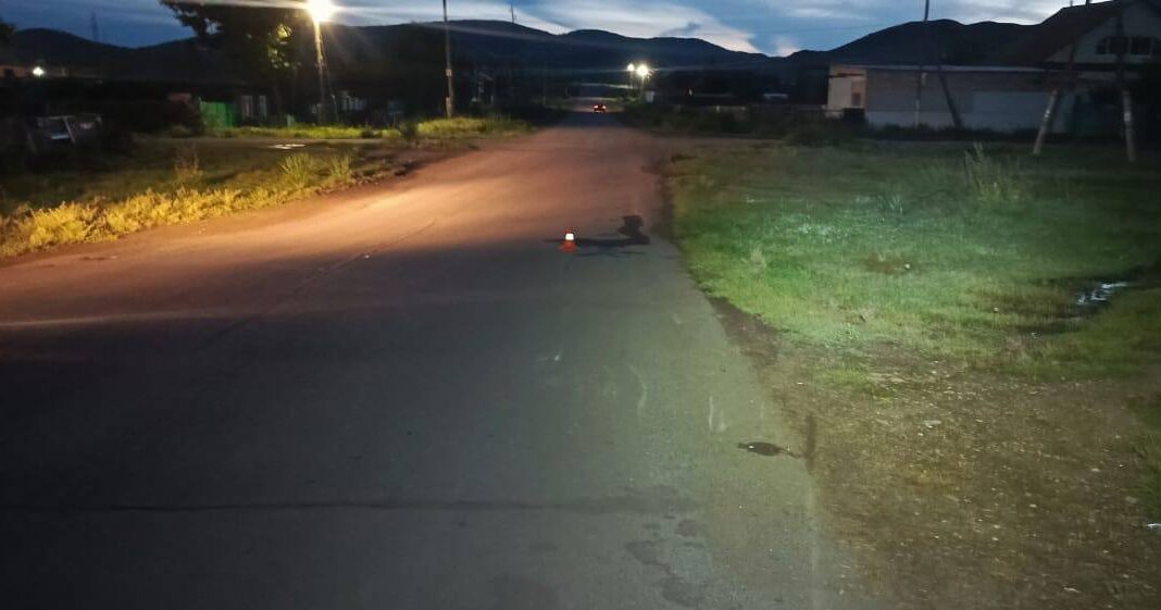 Фото Госавтоинспекции