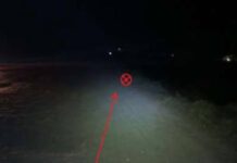 Фото Госавтоинспекции