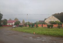 Фото Госавтоинспекции