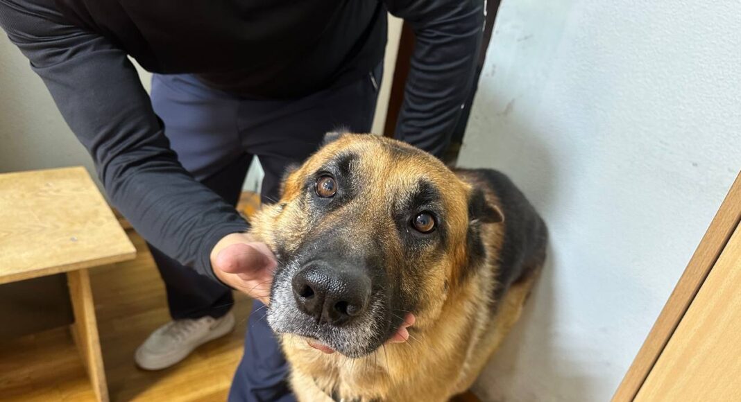 Фото ГСУ СК по РХ