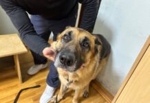 Фото ГСУ СК по РХ