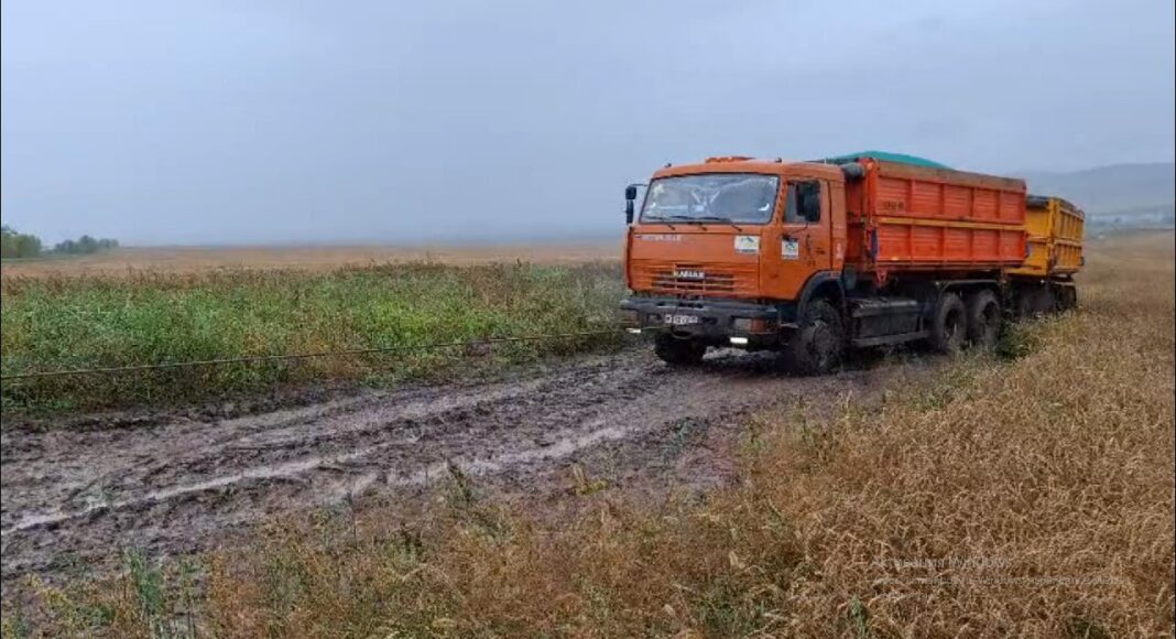 Фото из телеграм-канала Минсельхозпрода РХ