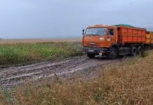 Фото из телеграм-канала Минсельхозпрода РХ