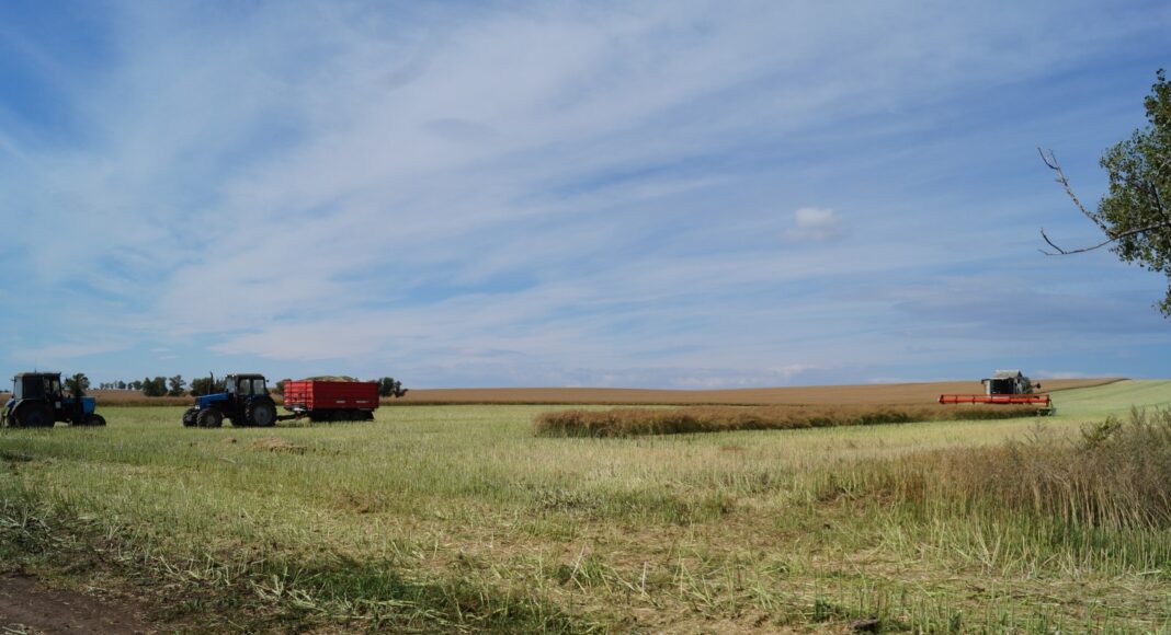Фото из телеграм-канала Минсельхозпрода РХ