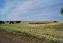 Фото из телеграм-канала Минсельхозпрода РХ