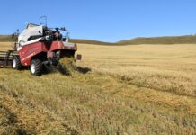 Фото из телеграм-канала Минсельхозпрода РХ