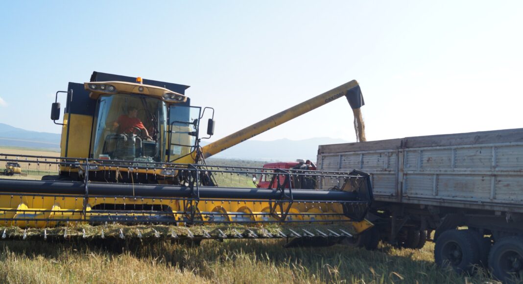 Фото из телеграм-канала Минсельхозпрода РХ