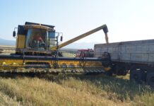 Фото из телеграм-канала Минсельхозпрода РХ