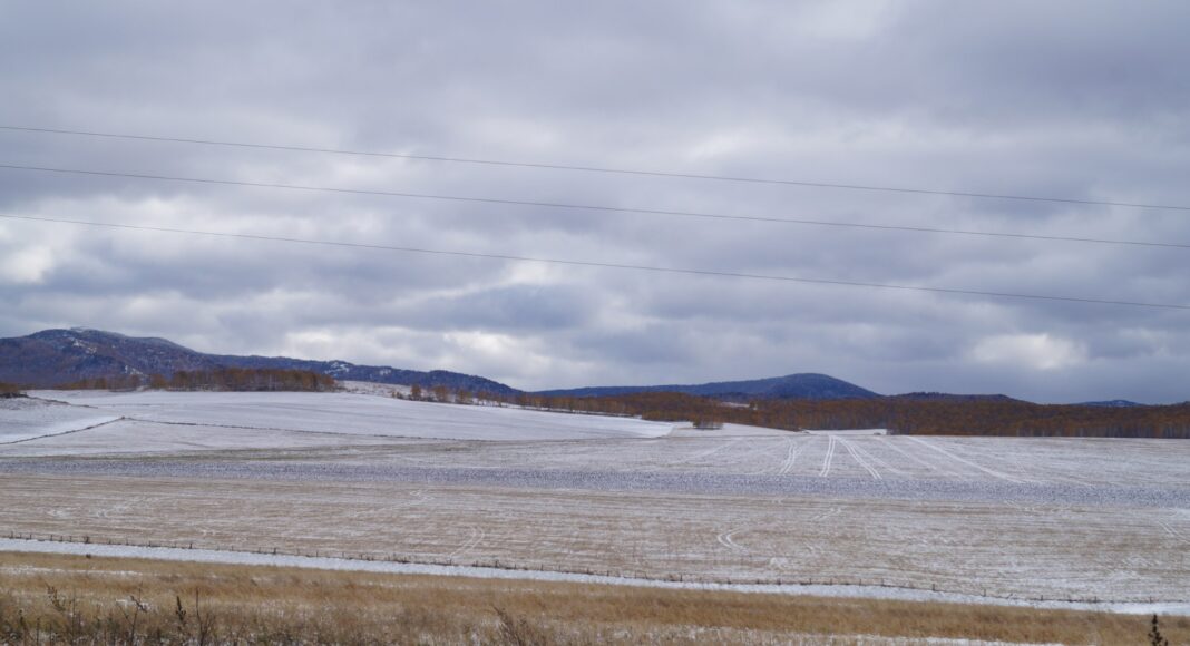 Фото из телеграм-канала Минсельхозпрода РХ