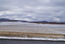 Фото из телеграм-канала Минсельхозпрода РХ