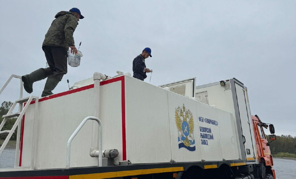 Фото из телеграм-канала Минсельхозпрода РХ