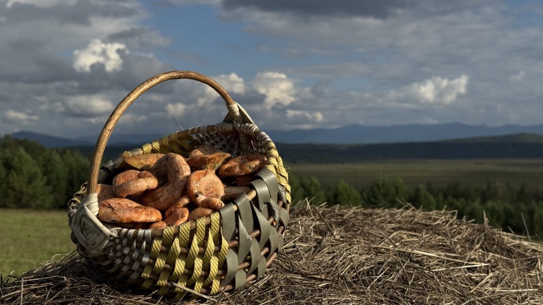 Фото предоставила Маргарита Лесовая