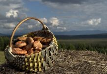 Фото предоставила Маргарита Лесовая