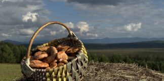 Фото предоставила Маргарита Лесовая