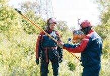 Фото предоставлено пресс-службой «Россети Сибирь»