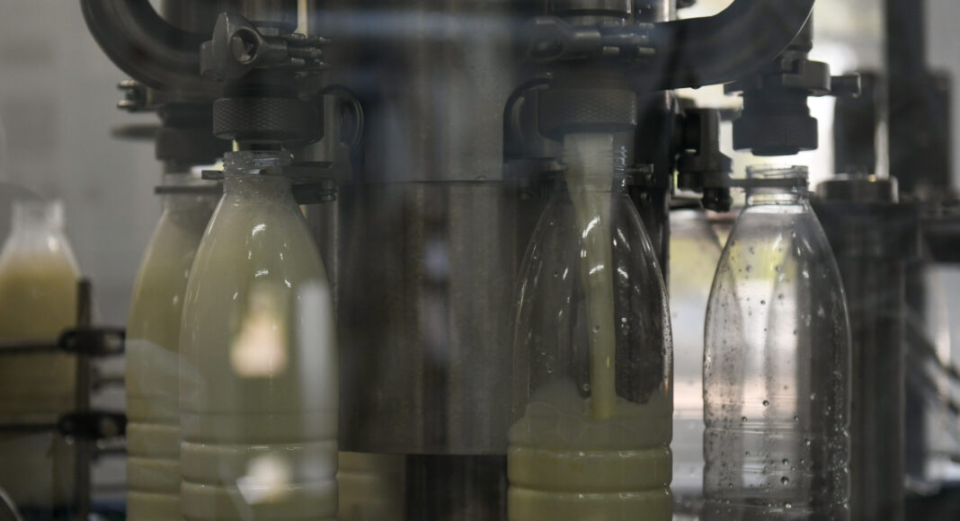 Фото предоставлено пресс-службой главы РХ