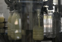 Фото предоставлено пресс-службой главы РХ