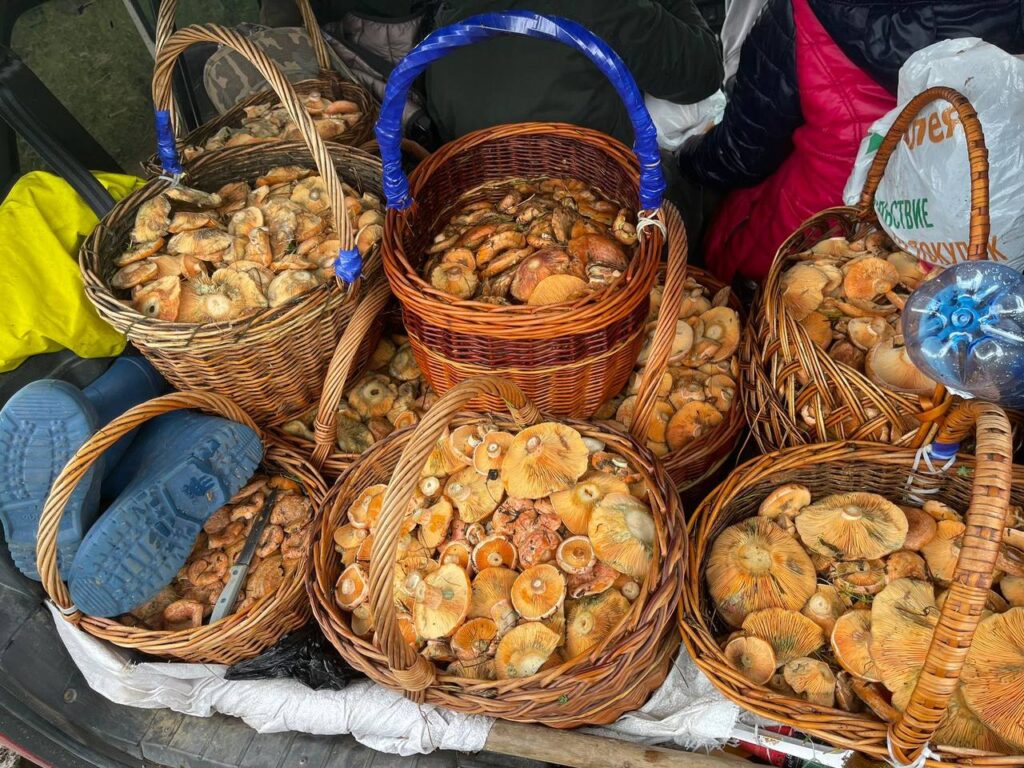 Фото предоставила Маргарита Лесовая