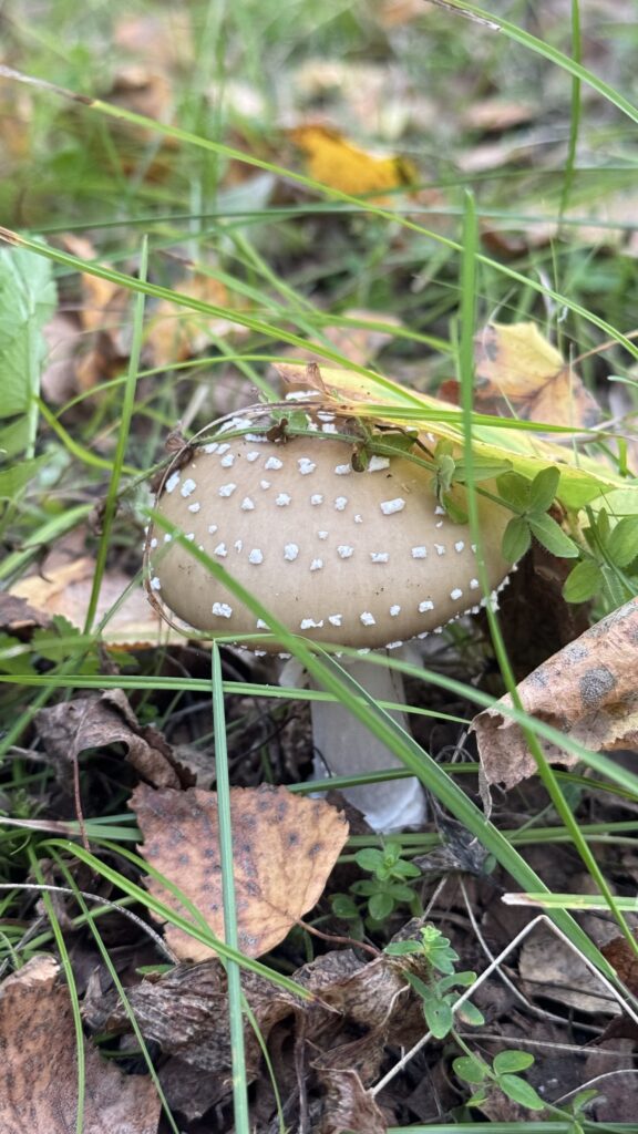 Фото предоставила Маргарита Лесовая