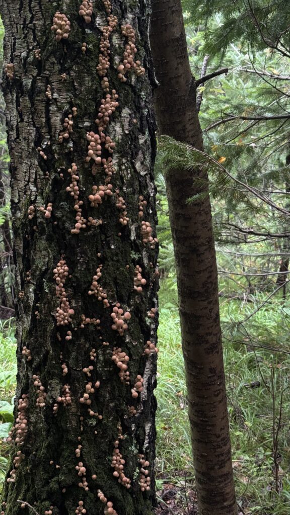 Фото предоставила Маргарита Лесовая