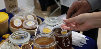 Мед. Фото: Владислав Фербер