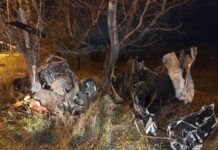 Фото Госавтоинспекции